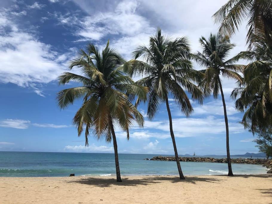 Soleiade Le Gosier - Acces Plage المظهر الخارجي الصورة